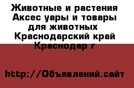 Животные и растения Аксесcуары и товары для животных. Краснодарский край,Краснодар г.